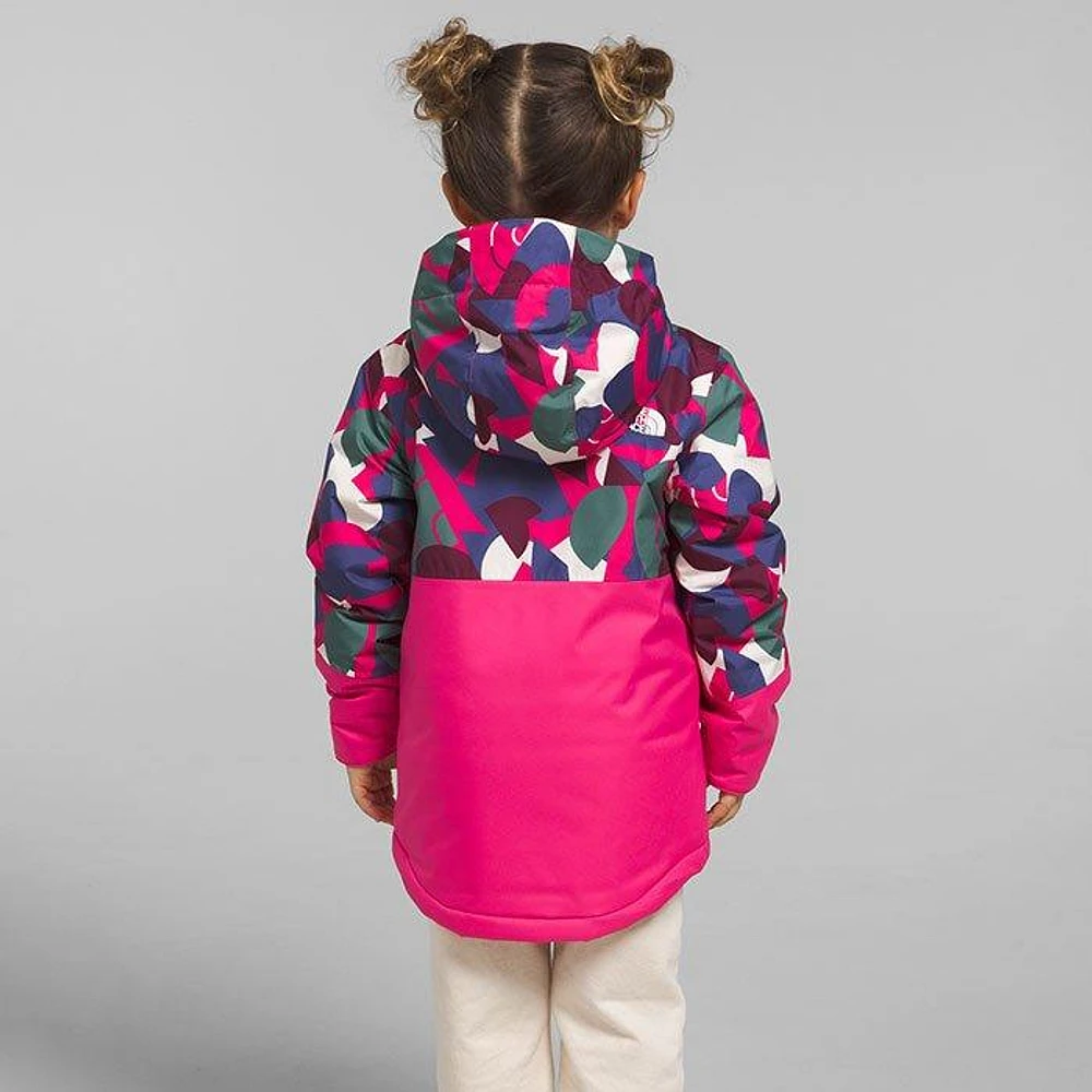 The North Face Kids' [2-7] Freedom Insulated Jacket